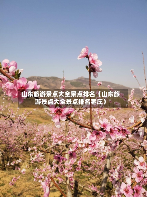 山东旅游景点大全景点排名(山东旅游景点大全景点排名枣庄)-第1张图片