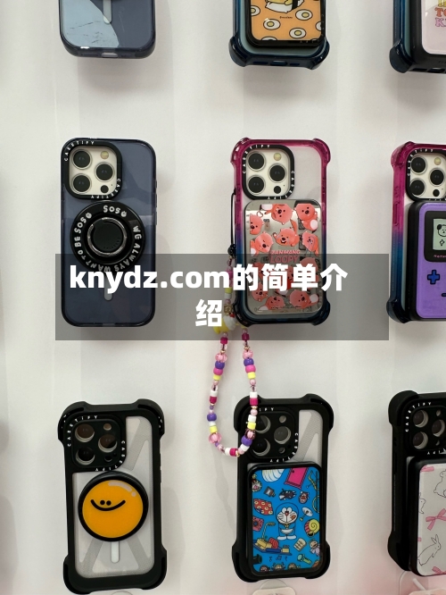 knydz.com的简单介绍-第1张图片