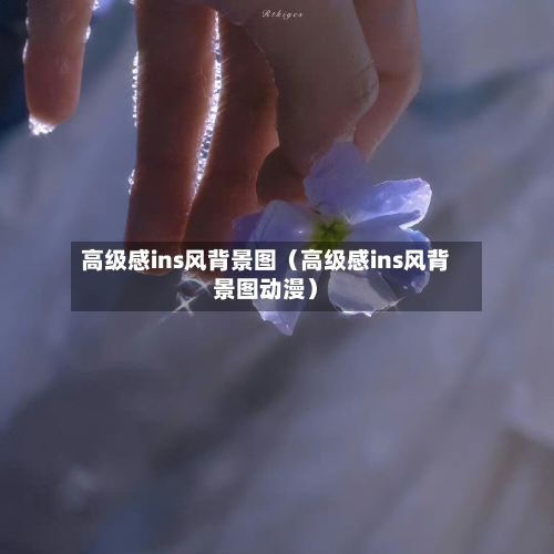 高级感ins风背景图（高级感ins风背景图动漫）-第1张图片