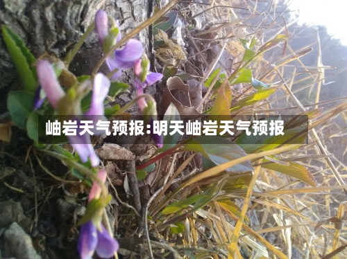 岫岩天气预报:明天岫岩天气预报-第1张图片