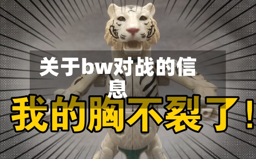 关于bw对战的信息-第1张图片