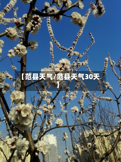 【范县天气/范县天气30天】-第1张图片