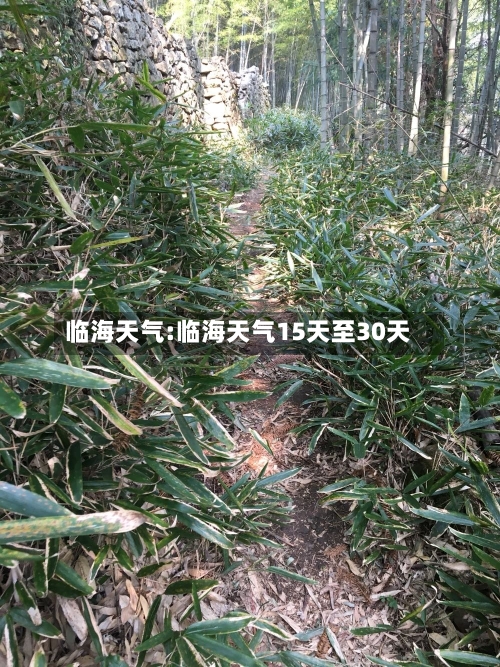 临海天气:临海天气15天至30天-第1张图片