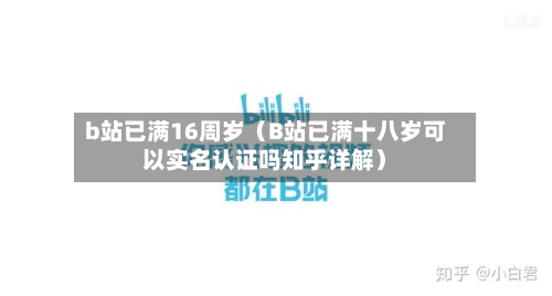 b站已满16周岁(B站已满十八岁可以实名认证吗知乎详解)-第1张图片