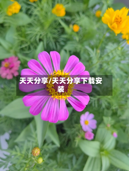 天天分享/天天分享下载安装-第1张图片