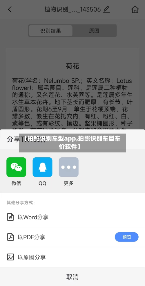 【拍照识别车型app,拍照识别车型车价软件】-第1张图片