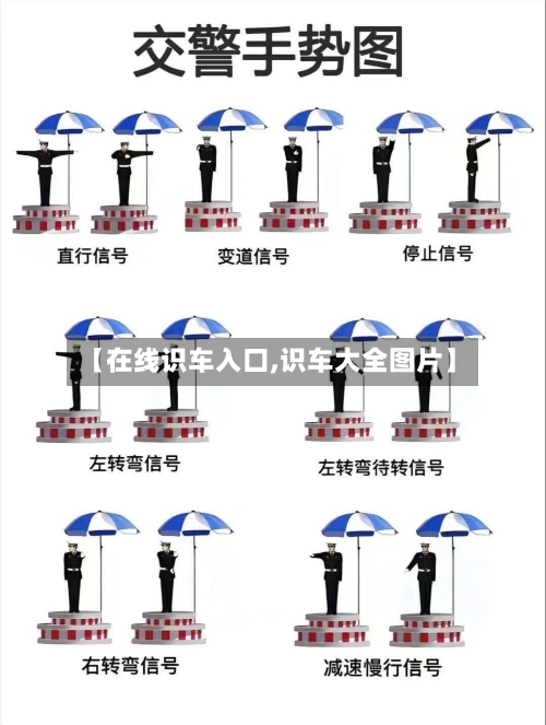 【在线识车入口,识车大全图片】-第1张图片