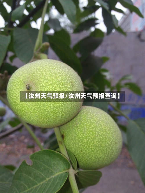 【汝州天气预报/汝州天气预报查询】-第1张图片