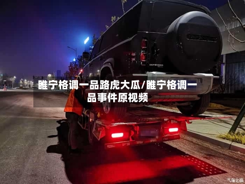 睢宁格调一品路虎大瓜/睢宁格调一品事件原视频-第1张图片