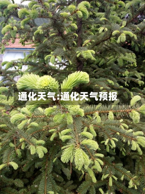 通化天气:通化天气预报-第1张图片
