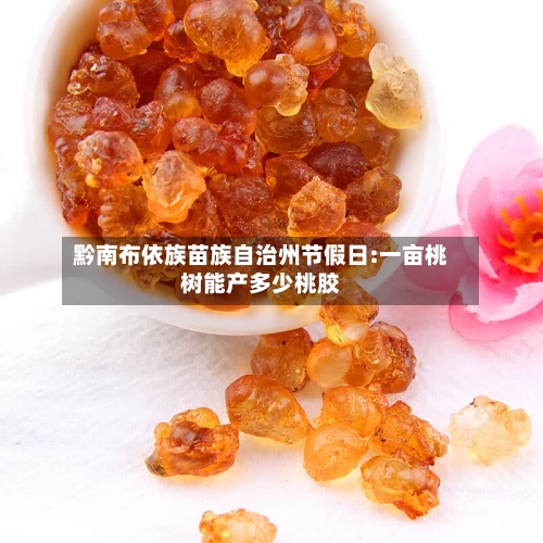 黔南布依族苗族自治州节假日:一亩桃树能产多少桃胶-第1张图片