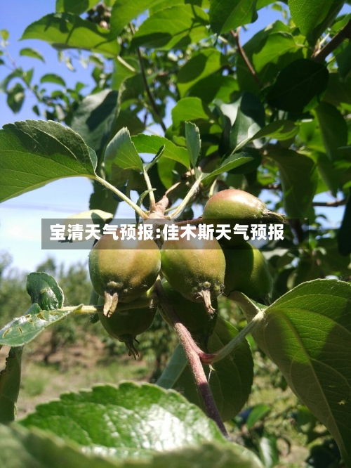 宝清天气预报:佳木斯天气预报-第1张图片