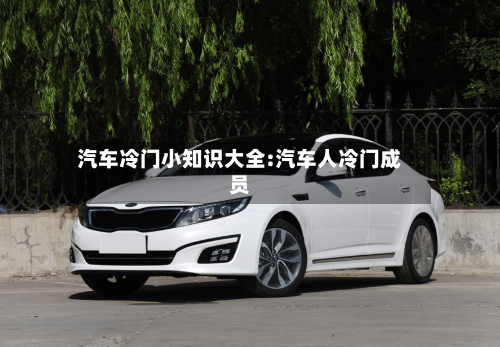 汽车冷门小知识大全:汽车人冷门成员-第1张图片