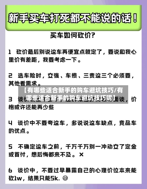 【有哪些适合新手的购车避坑技巧/有哪些适合新手的购车避坑技巧呢】-第1张图片
