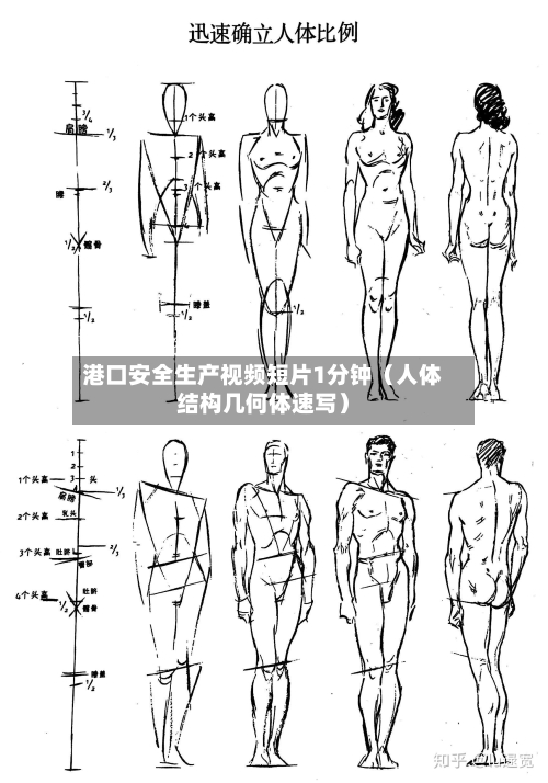 港口安全生产视频短片1分钟(人体结构几何体速写)-第1张图片
