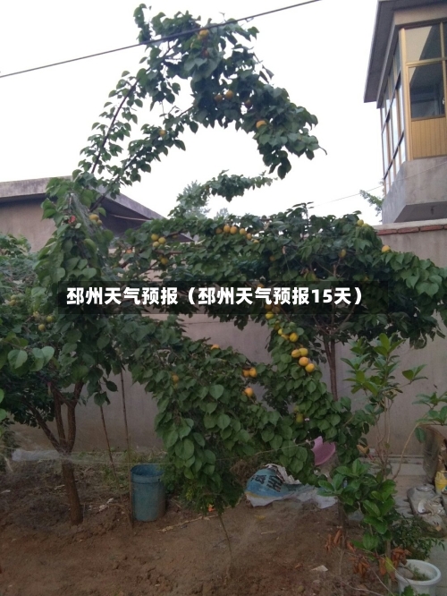 邳州天气预报(邳州天气预报15天)-第1张图片