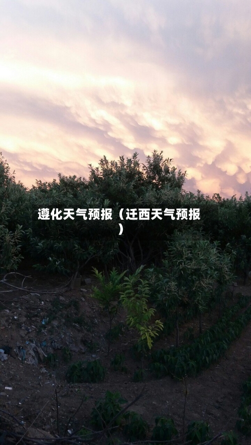 遵化天气预报(迁西天气预报)-第1张图片