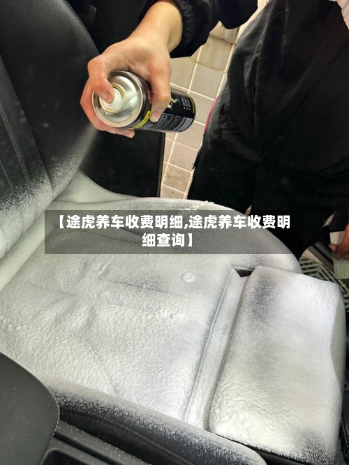 【途虎养车收费明细,途虎养车收费明细查询】-第1张图片
