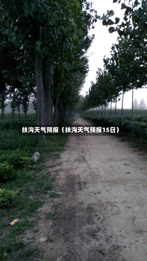 扶沟天气预报（扶沟天气预报15日）-第1张图片