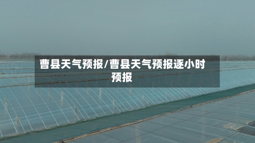 曹县天气预报/曹县天气预报逐小时预报-第1张图片