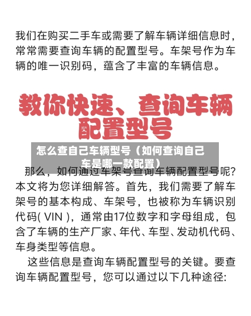 怎么查自己车辆型号(如何查询自己车是哪一款配置)-第1张图片