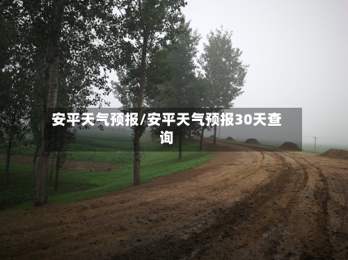 安平天气预报/安平天气预报30天查询-第1张图片