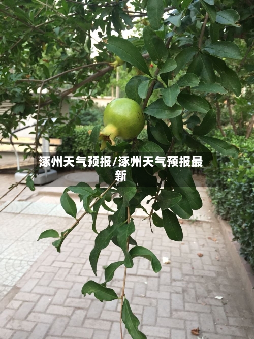 涿州天气预报/涿州天气预报最新-第1张图片