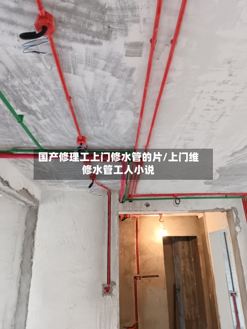 国产修理工上门修水管的片/上门维修水管工人小说-第1张图片