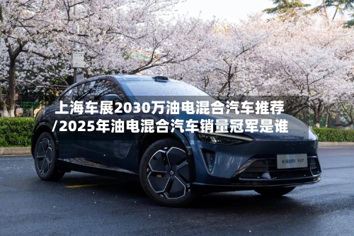 上海车展2030万油电混合汽车推荐/2025年油电混合汽车销量冠军是谁-第1张图片
