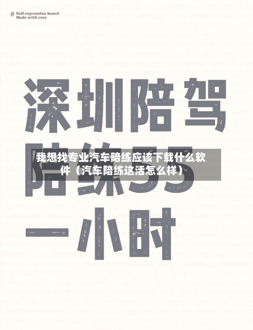 我想找专业汽车陪练应该下载什么软件(汽车陪练这活怎么样)-第1张图片