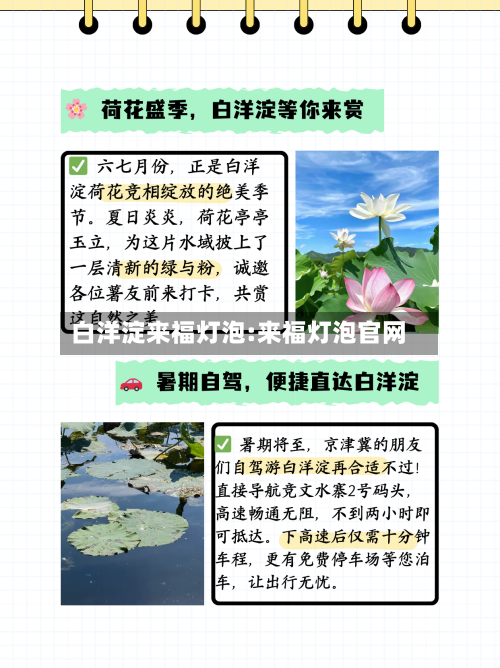 白洋淀来福灯泡:来福灯泡官网-第1张图片