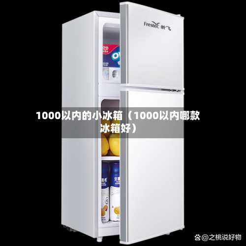 1000以内的小冰箱(1000以内哪款冰箱好)-第1张图片