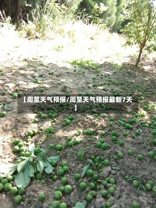 【周至天气预报/周至天气预报最新7天】-第1张图片