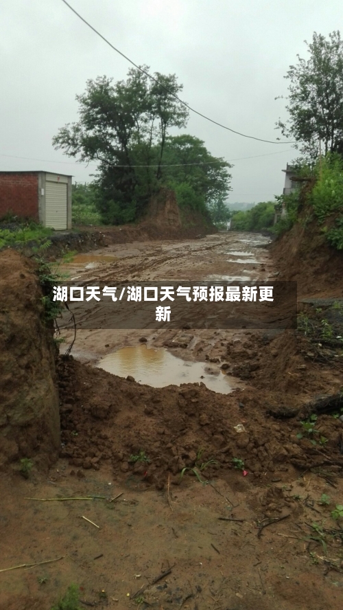 湖口天气/湖口天气预报最新更新-第1张图片