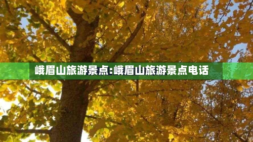 峨眉山旅游景点:峨眉山旅游景点电话-第1张图片