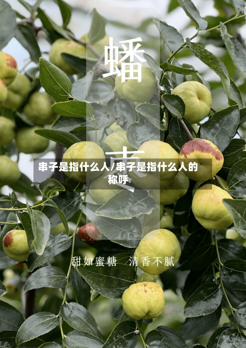 串子是指什么人/串子是指什么人的称呼-第1张图片