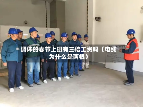 调休的春节上班有三倍工资吗(电线为什么是两根)-第1张图片