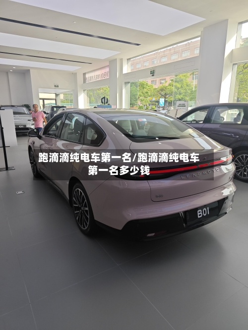 跑滴滴纯电车第一名/跑滴滴纯电车第一名多少钱-第1张图片