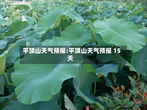 平顶山天气预报:平顶山天气预报 15天-第1张图片