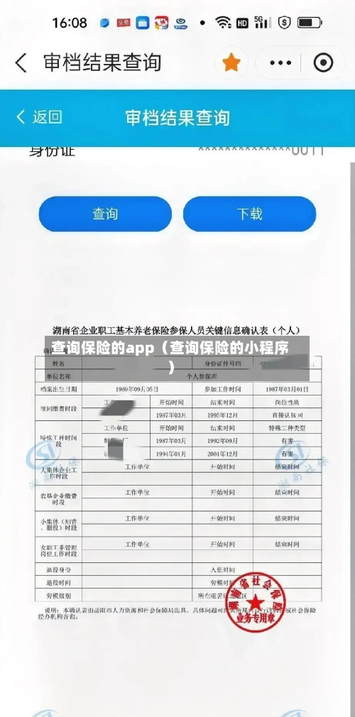 查询保险的app(查询保险的小程序)-第1张图片