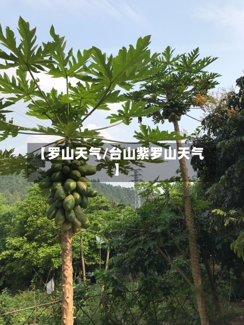 【罗山天气/台山紫罗山天气】-第1张图片