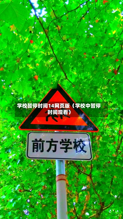 学校暂停时间14网页版（学校中暂停时间观看）-第1张图片