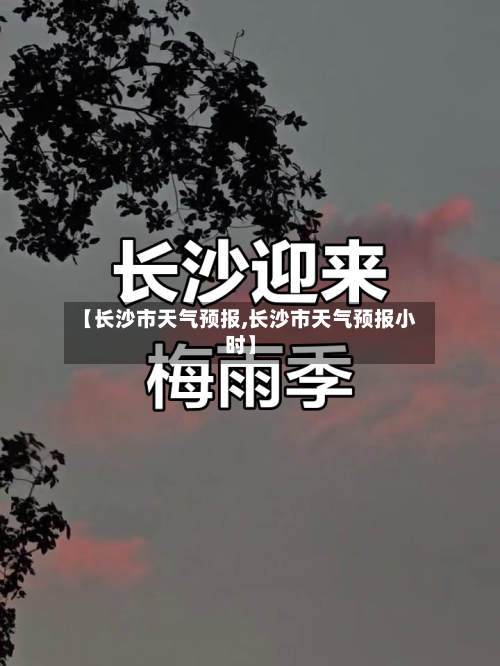 【长沙市天气预报,长沙市天气预报小时】-第1张图片