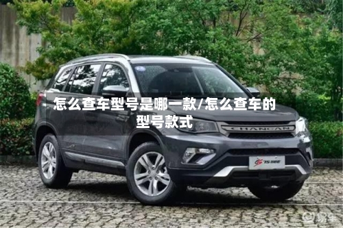 怎么查车型号是哪一款/怎么查车的型号款式-第1张图片