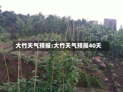 大竹天气预报:大竹天气预报40天-第1张图片