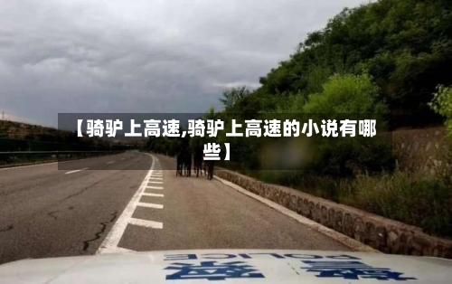 【骑驴上高速,骑驴上高速的小说有哪些】-第1张图片
