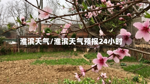 淮滨天气/淮滨天气预报24小时-第1张图片