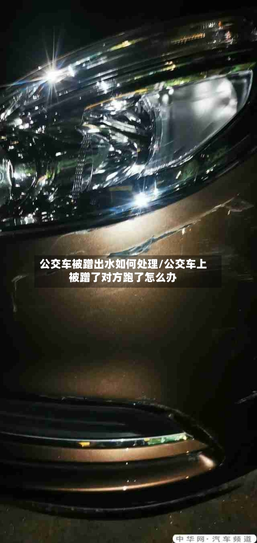 公交车被蹭出水如何处理/公交车上被蹭了对方跑了怎么办-第1张图片
