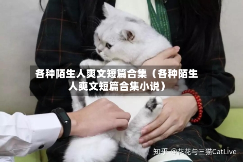 各种陌生人爽文短篇合集(各种陌生人爽文短篇合集小说)-第1张图片