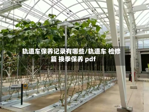 轨道车保养记录有哪些/轨道车 检修篇 换季保养 pdf-第1张图片